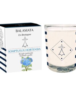 BALAMATA – Somptueux Hortensia – Bougie Parfumée 80G